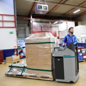 Stand-In Low Lifter 2.0 – 3.0 ton - Image 5